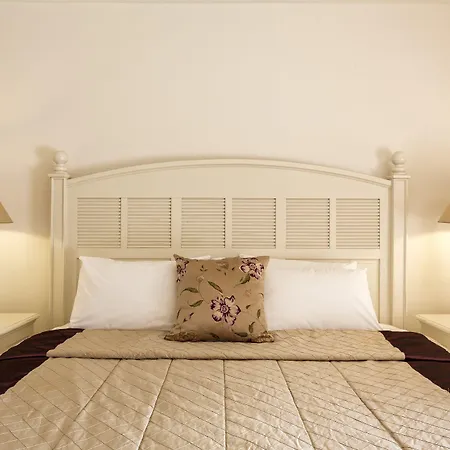 리조트 Princess Resort, Santikos Collection 아기아 파라스케비